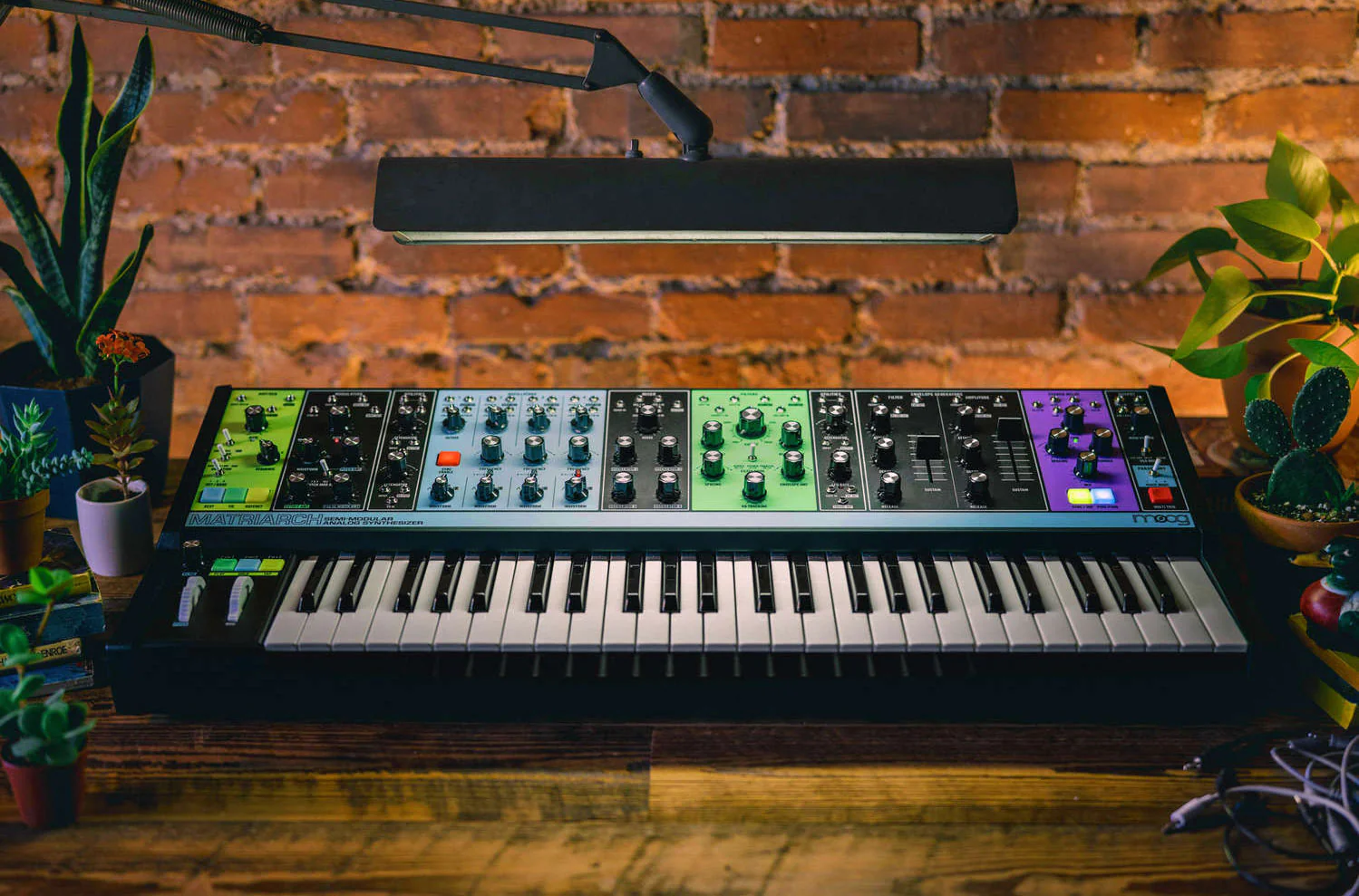 Moog Matriarch Patchable 4-note Paraphonic Analogue Synthesiser - Image 2