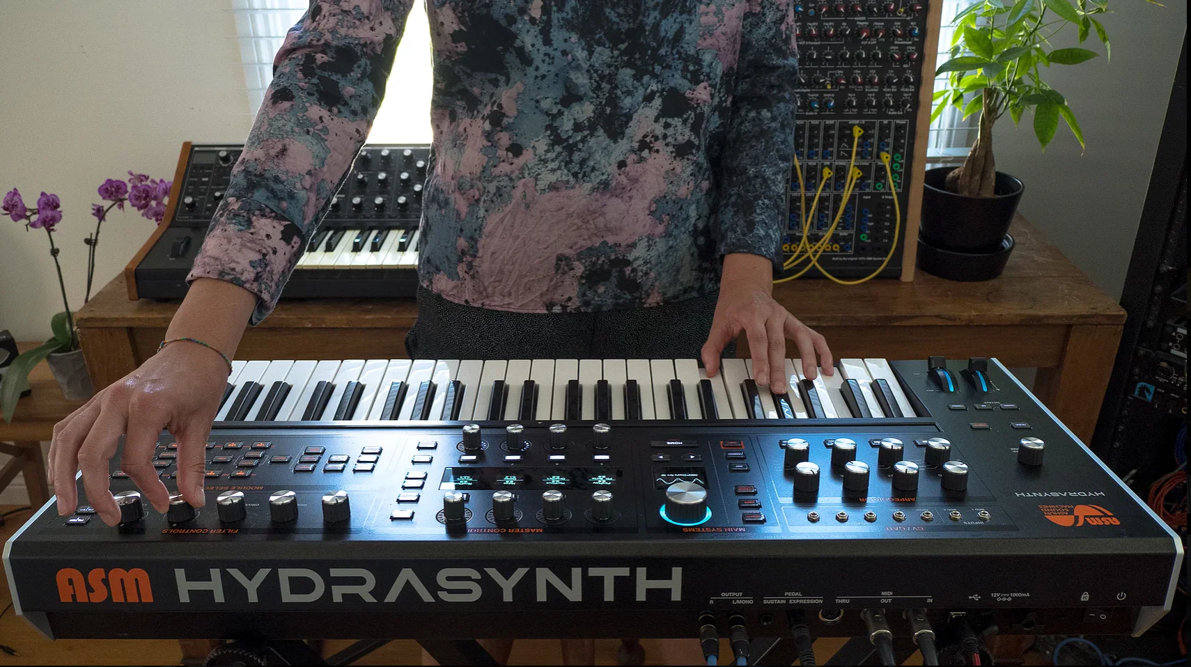 Ashun Sound Machines Hydrasynth Keyboard - Image 10