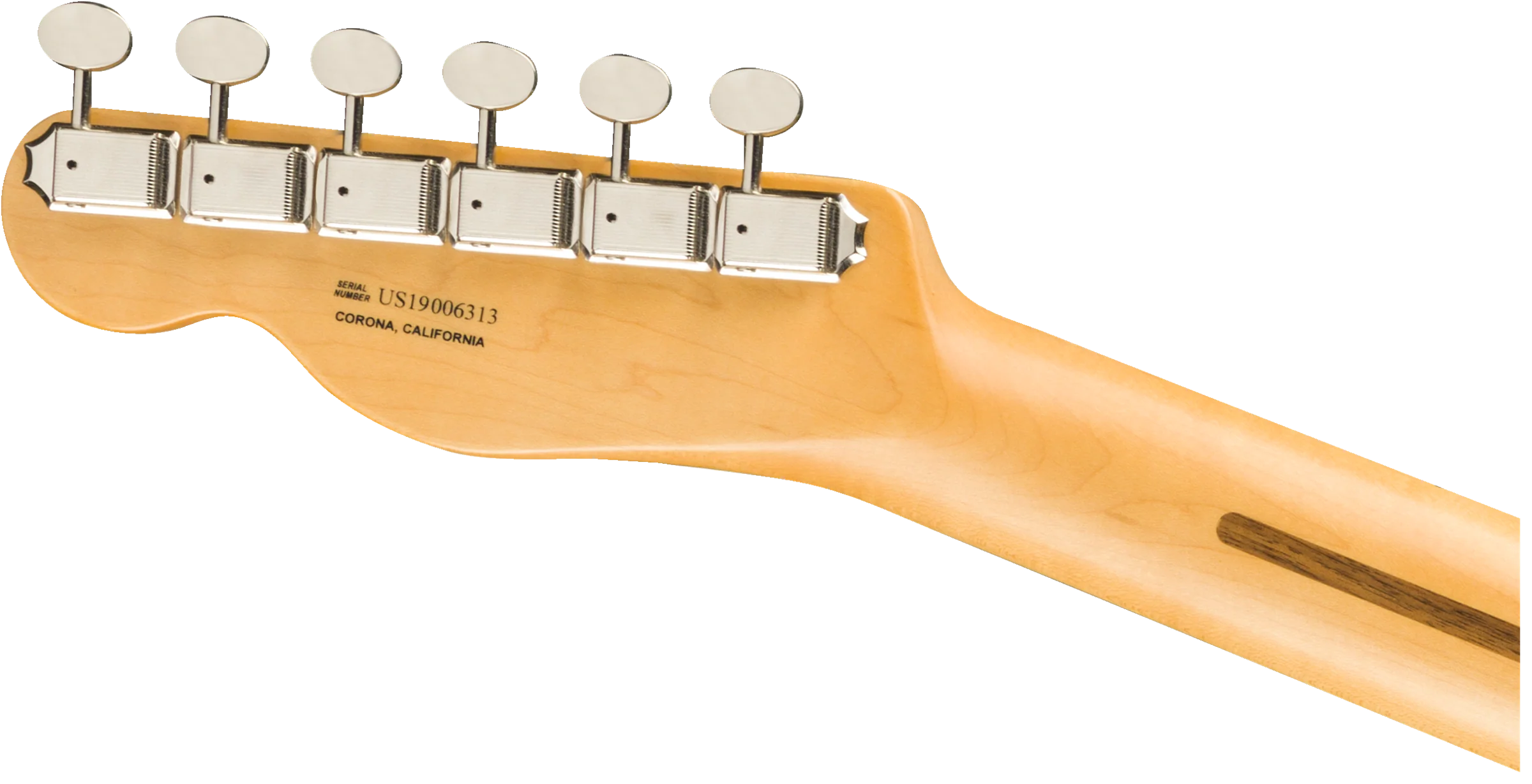Fender Britt Daniel Tele Thinline - Image 3