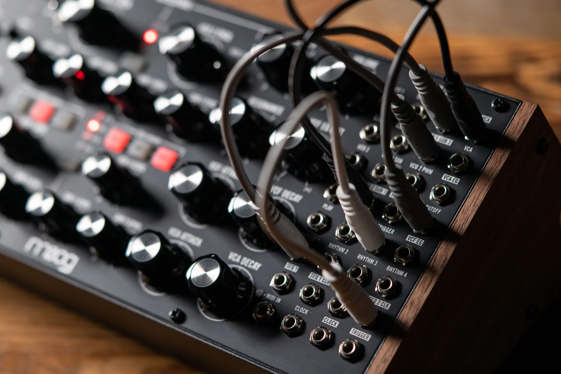 Moog Subharmonicon Semi-Modular Polyrhythmic Analogue Synthesizer - Image 16