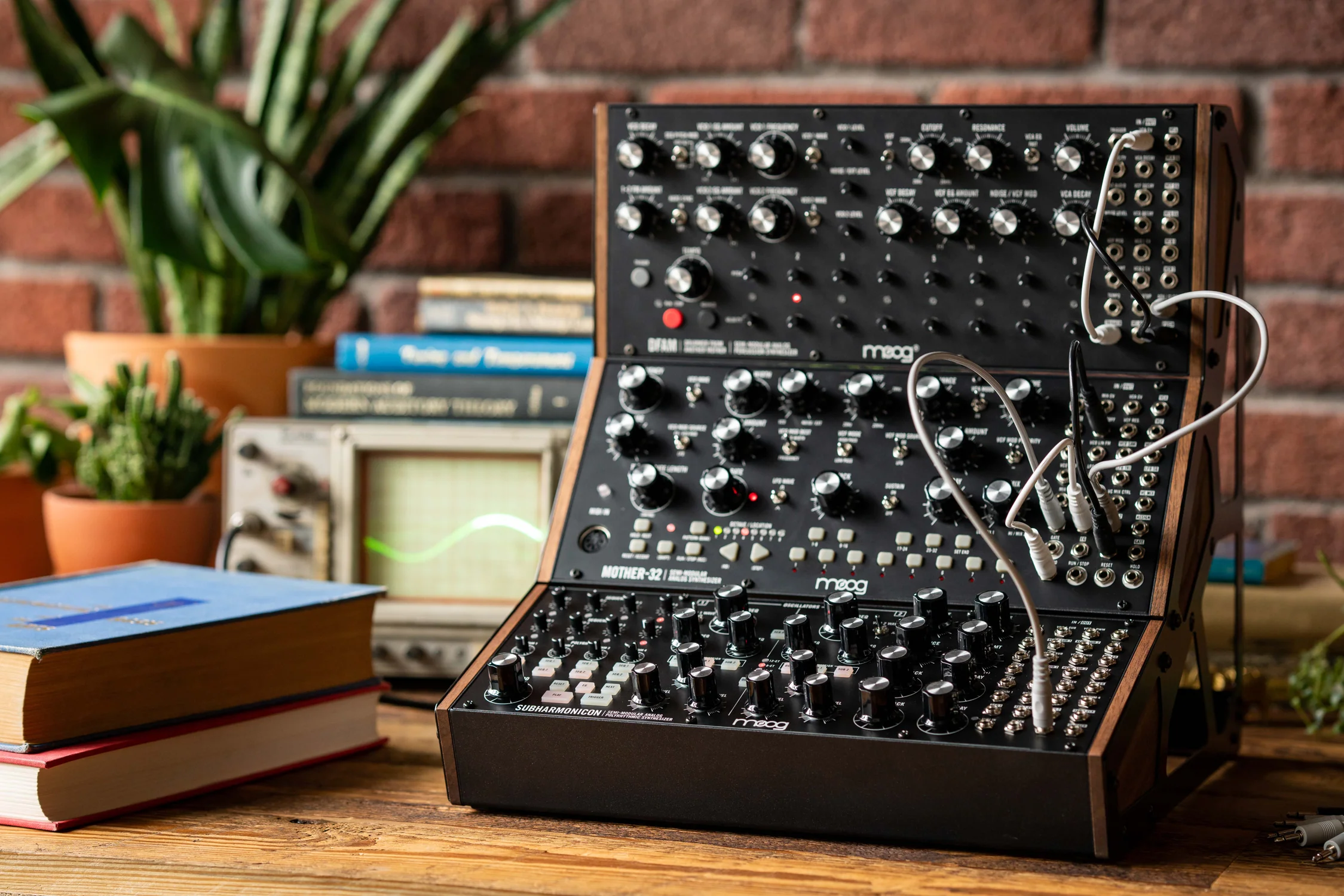 Moog Subharmonicon Semi-Modular Polyrhythmic Analogue Synthesizer - Image 5