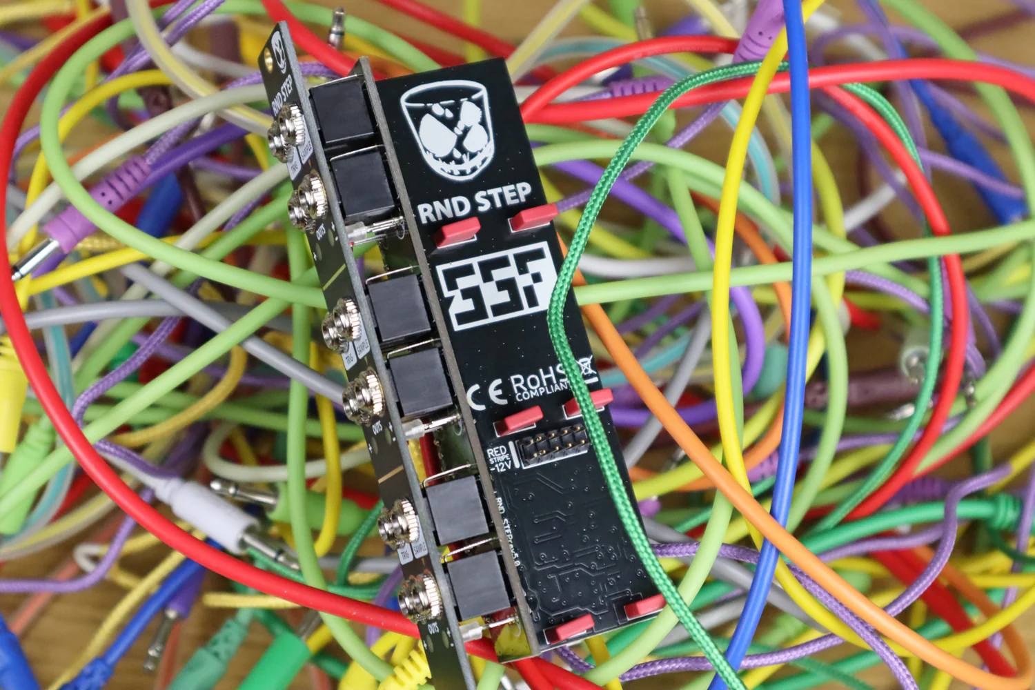 DivKid/SSF RND STEP - Image 3