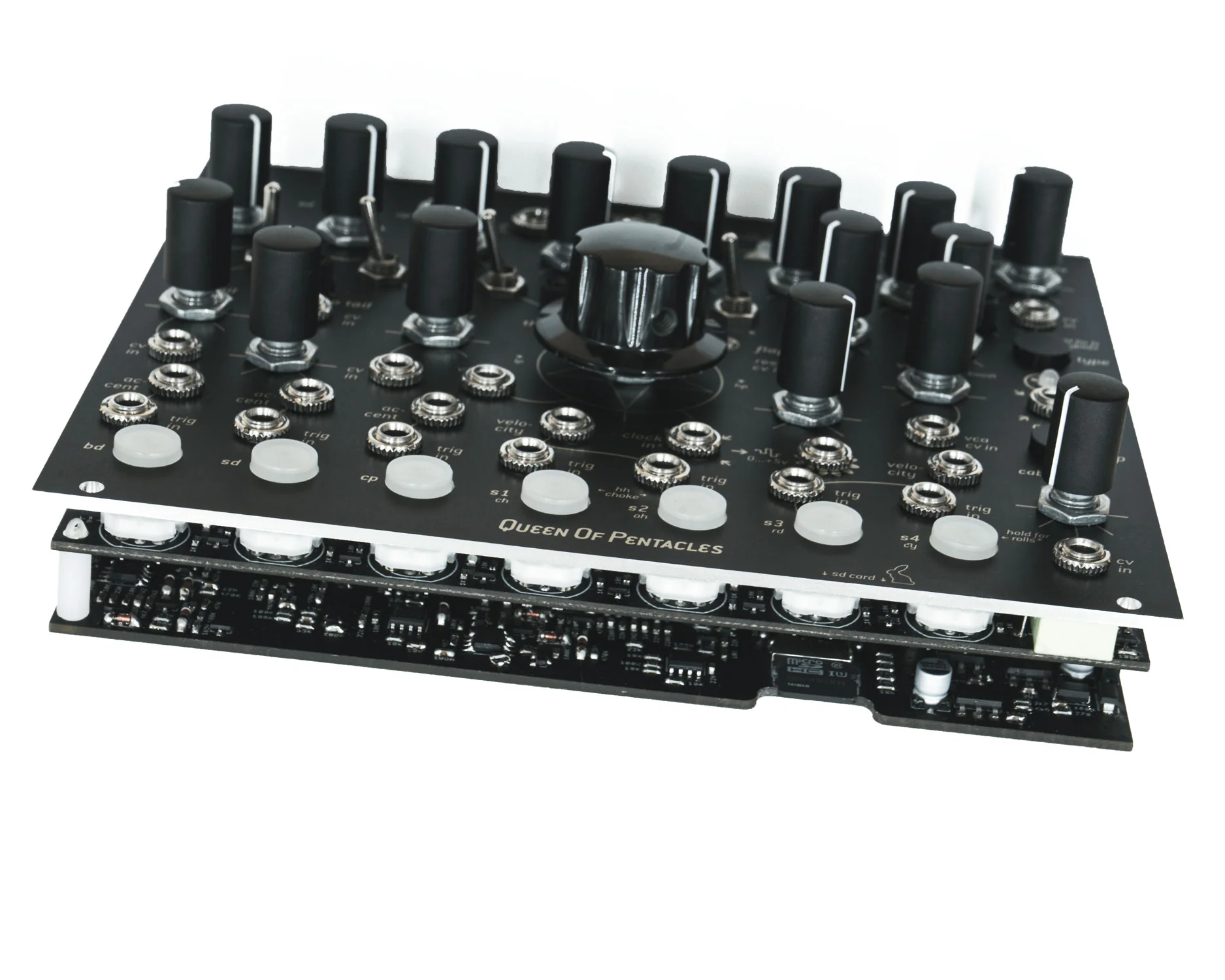 Endorphin.es Black Queen of Pentacles 7 Voice 909 Drum Generator - Image 3