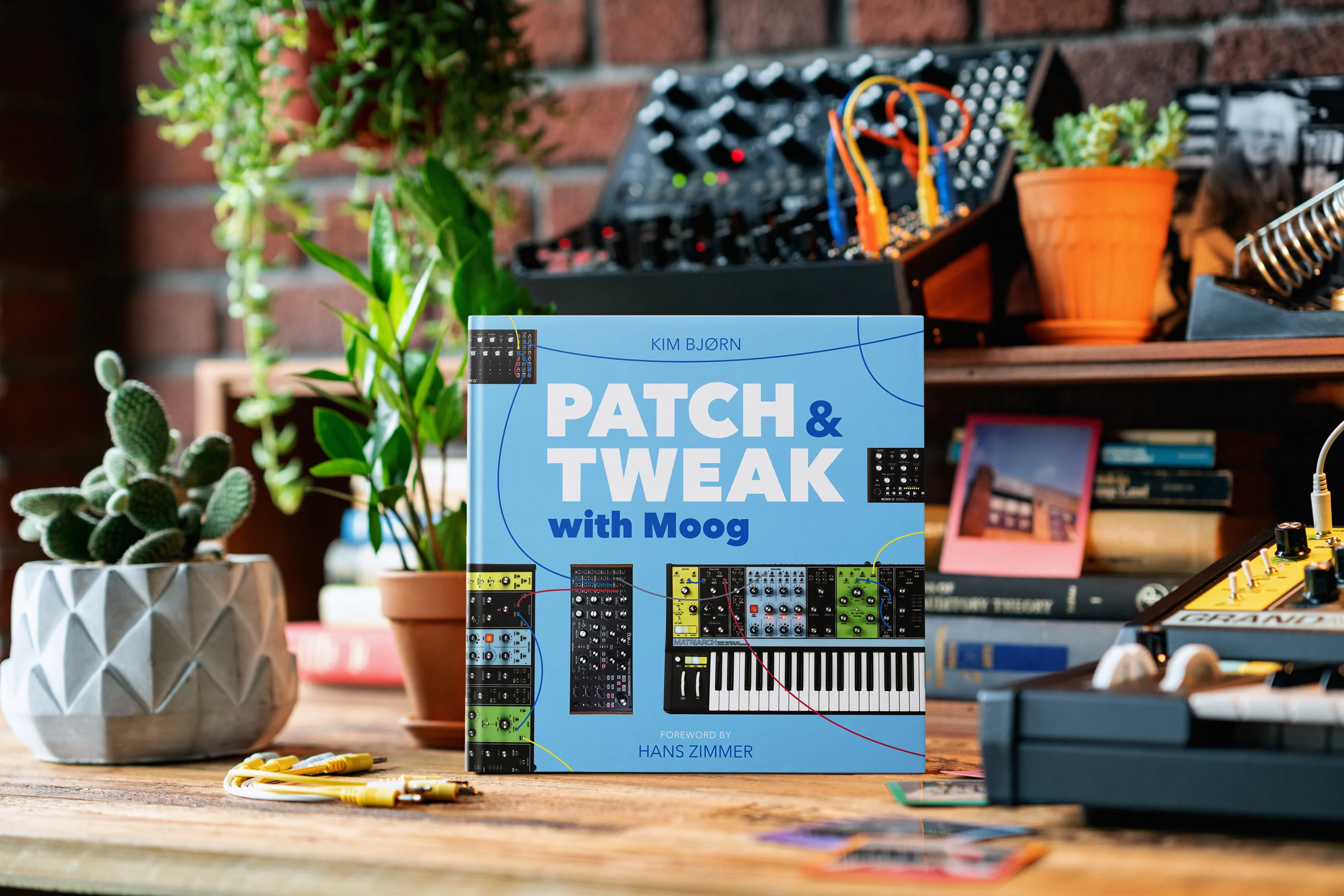 Bjooks PATCH & TWEAK with Moog - Image 14