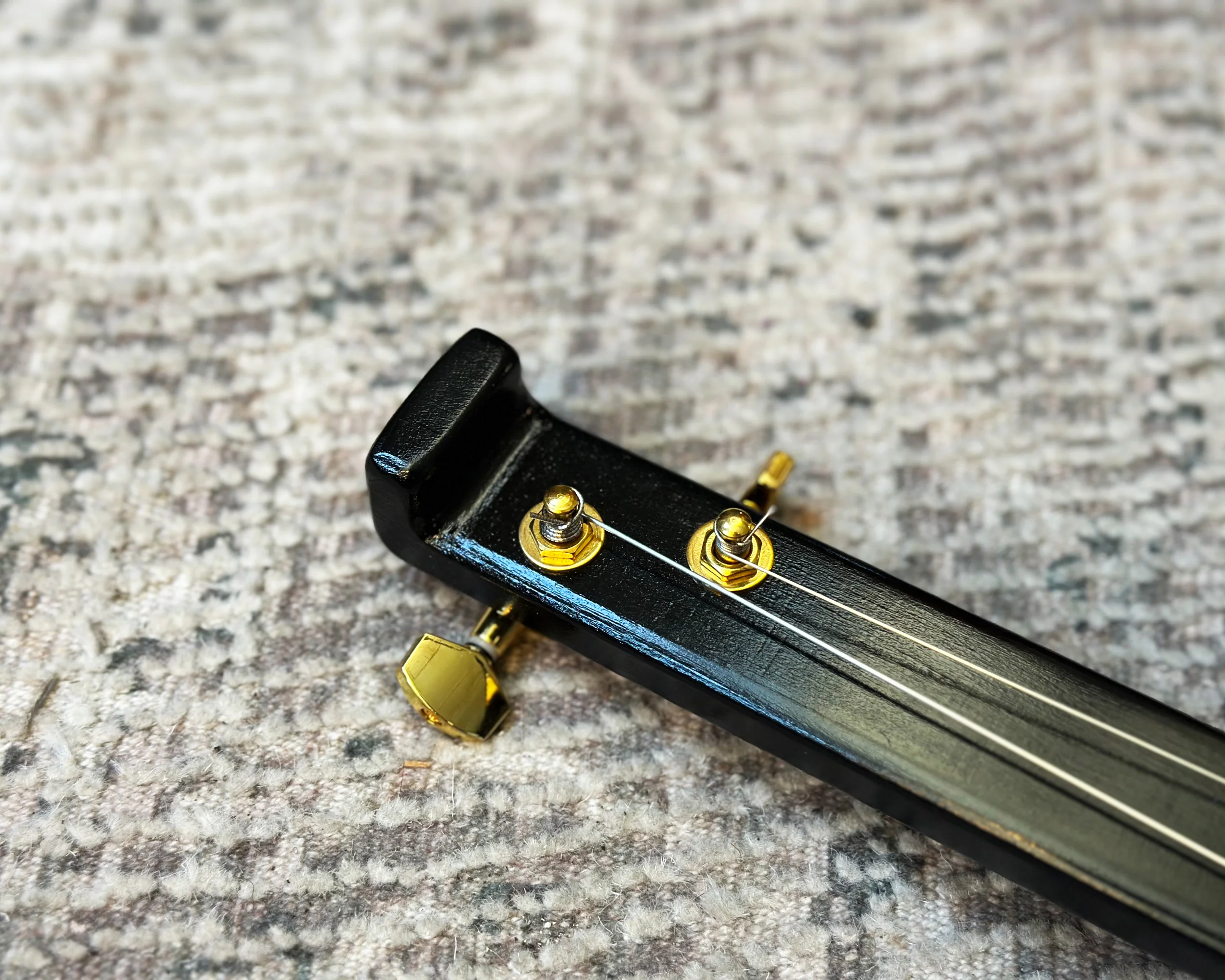 Soma Laboratory Dvina Electro-Acoustic Instrument - Black - Image 4