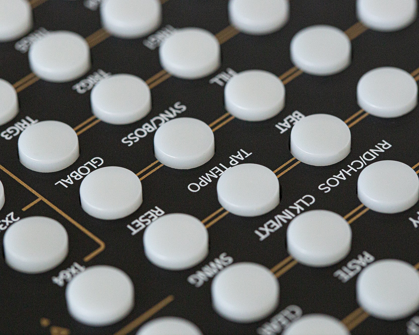 Tiptop Audio Circadian Rhythms - Black Edition - Image 3