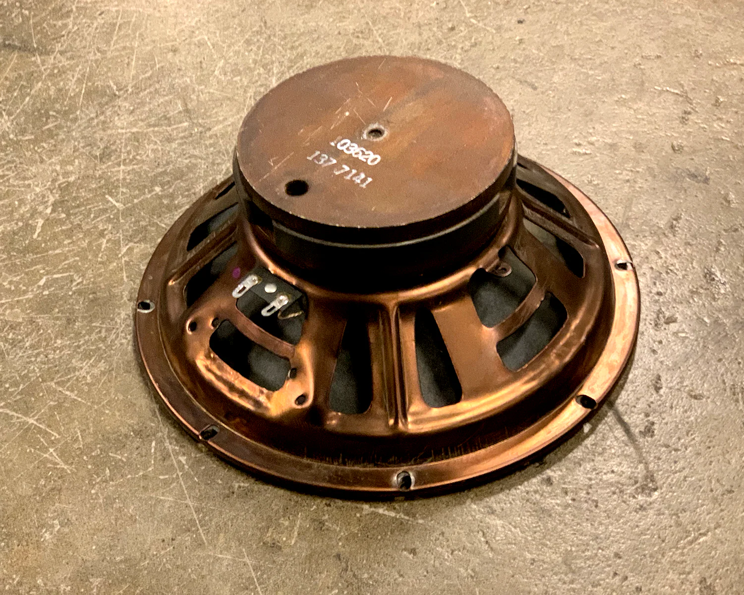 CTS 10" Speaker