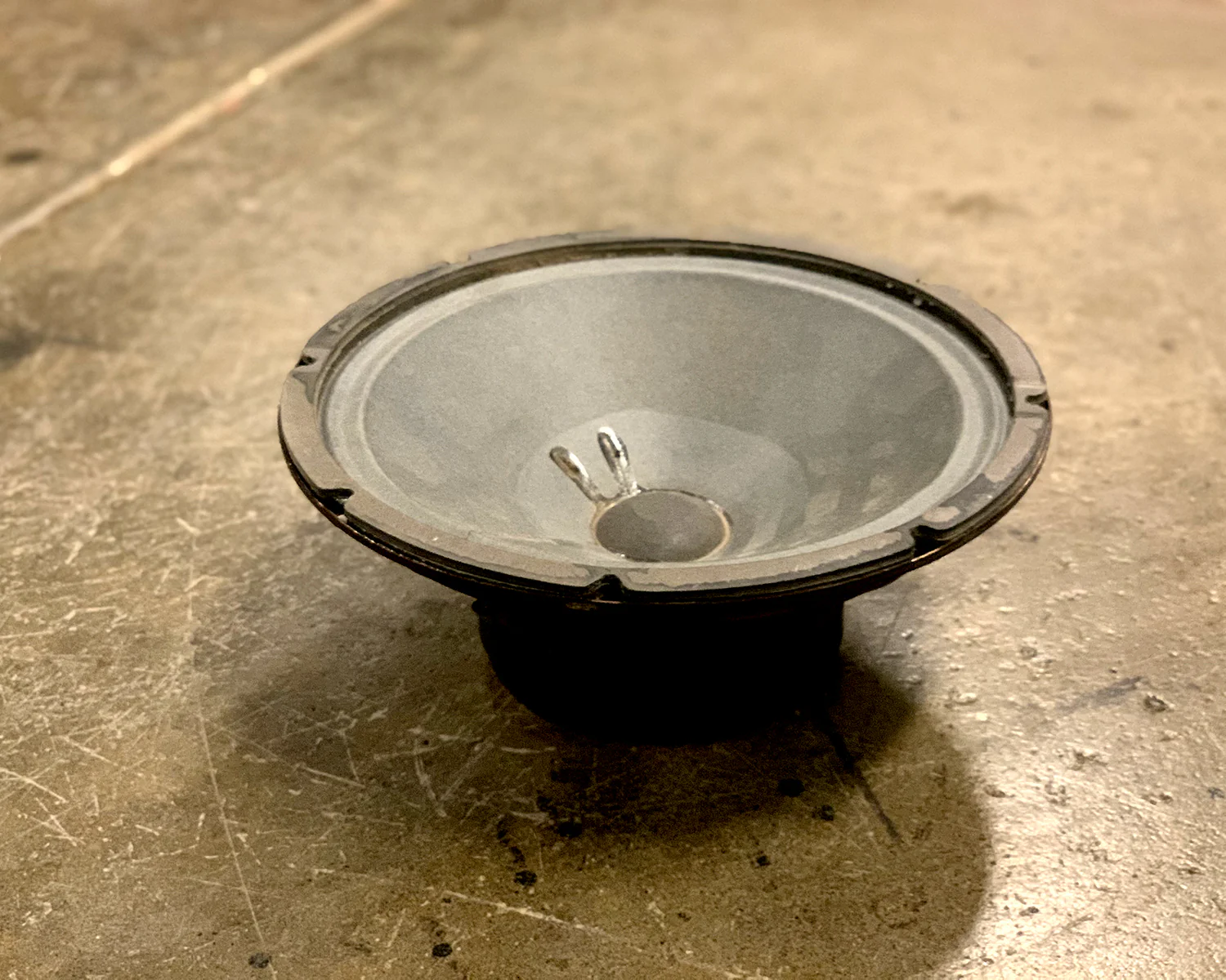 CTS 10" Speaker - Image 2