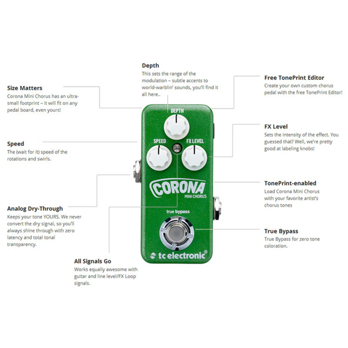TC Electronic Corona Mini Chorus - Image 3