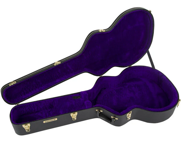 Gretsch G6302 Extra Long Jumbo (12 String) Flat Top Case