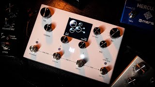 Meris LVX Modular Delay Effects Pedal - Image 4