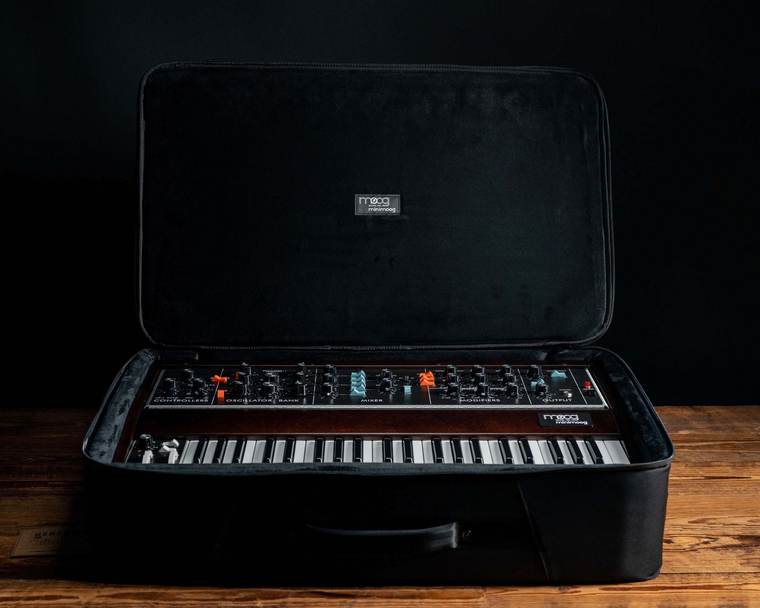 Moog Minimoog Model D SR Case - Image 2