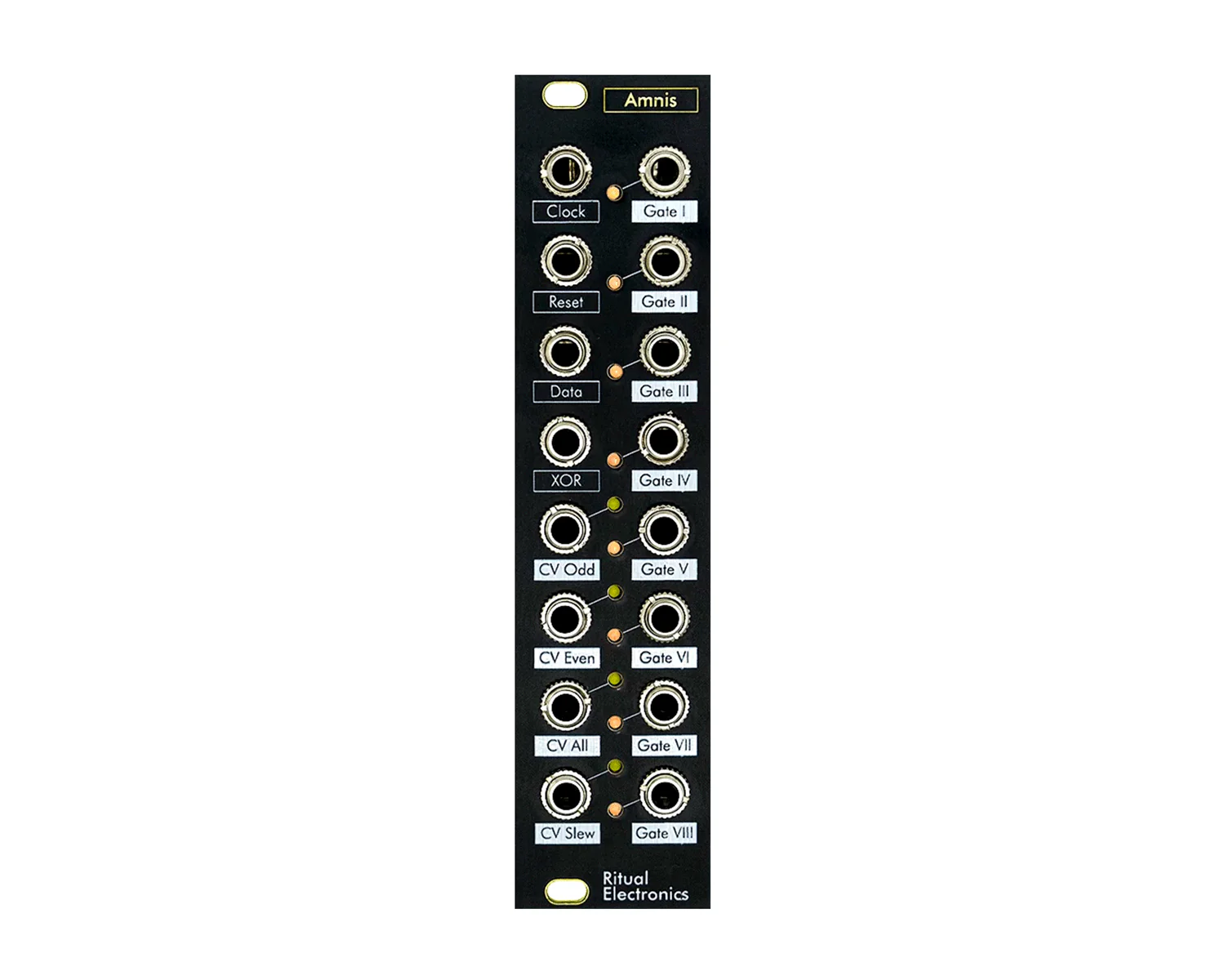Ritual Electronics Amnis Digital Shift Register Eurorack Module
