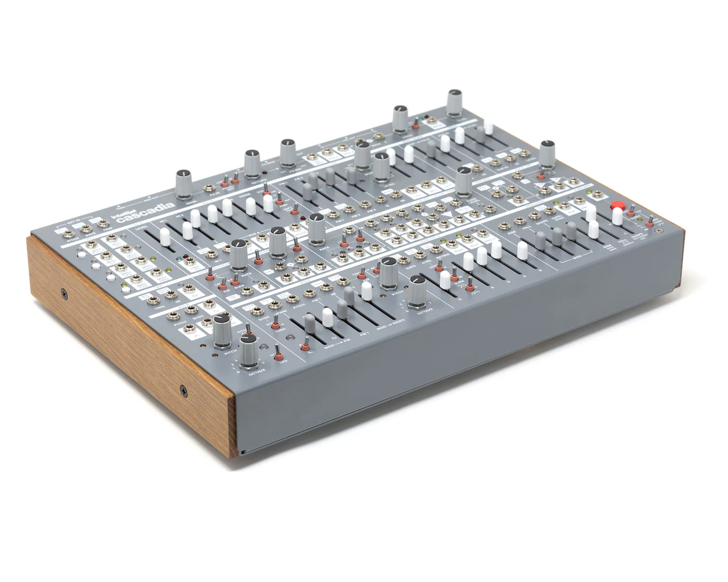 Intellijel Cascadia Semi-Modular Mono Synth - Grey - Image 2