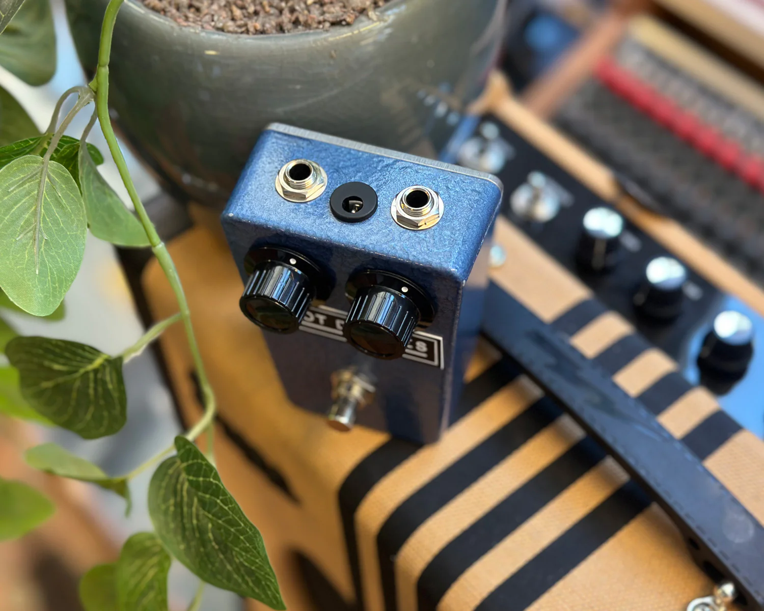Pilot Devices Colorsound Two Knob Fuzz - Image 2