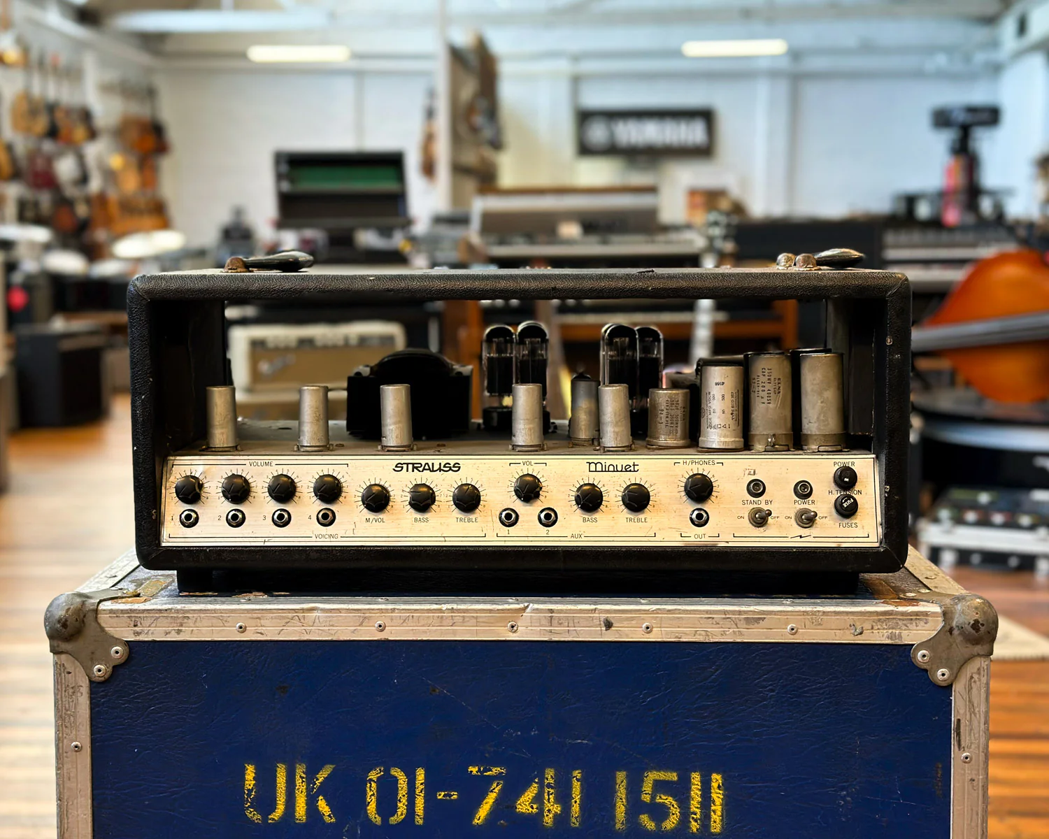 Strauss Minuet Valve PA Head