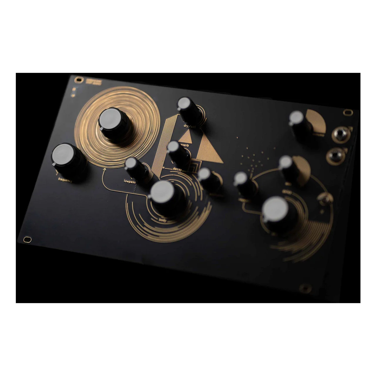 Synthux Audrey II Feedback Synthesizer - Image 2