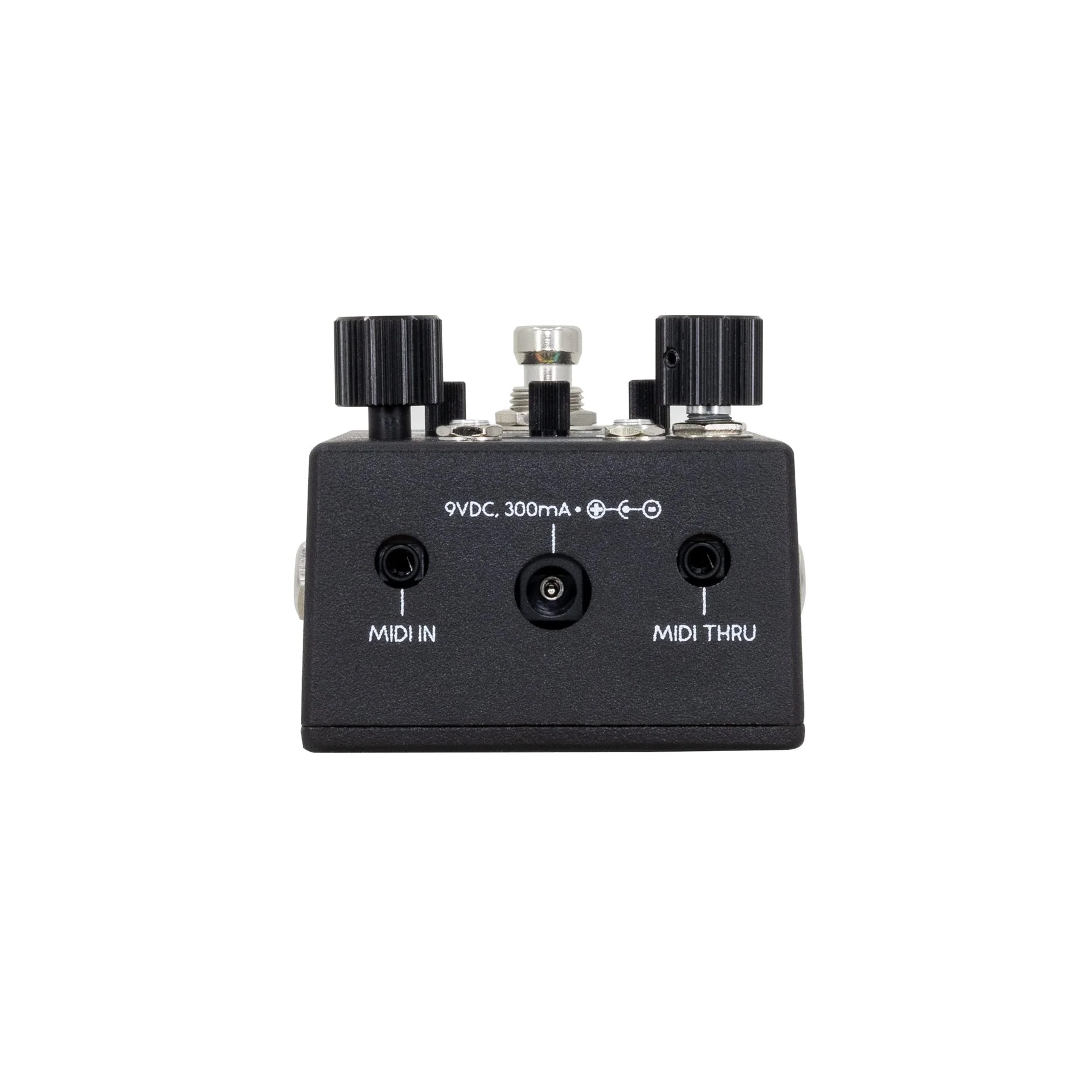 Walrus Audio Canvas Rehearsal - Black - Image 6