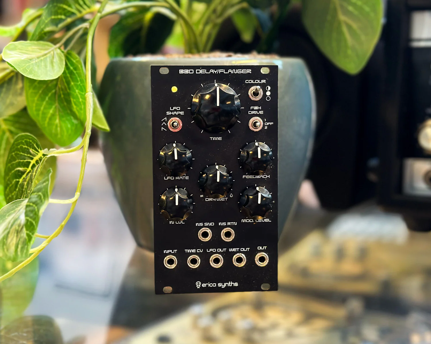 Erica Synths DIY BBD Delay - Assembled
