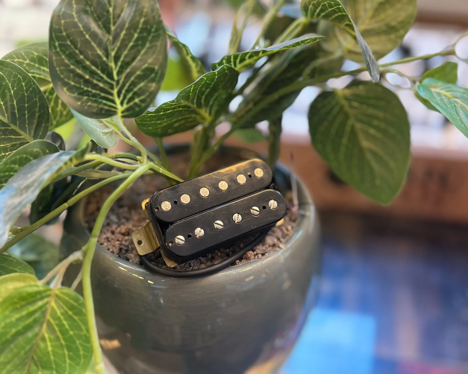 G&L Humbucker Pickup