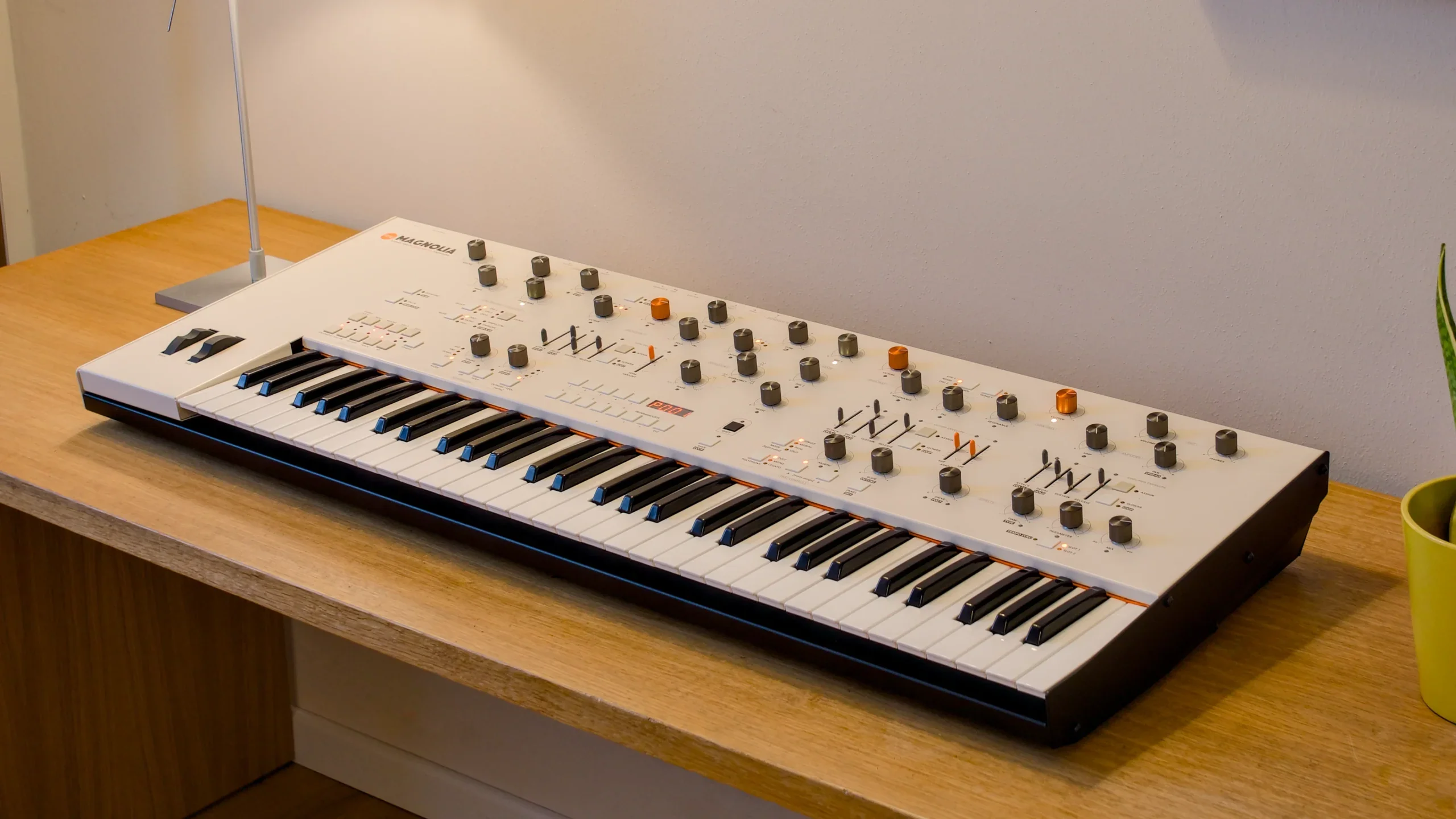 Frap Tools Magnolia Eight-Voice Analog Poly Synth - Image 2