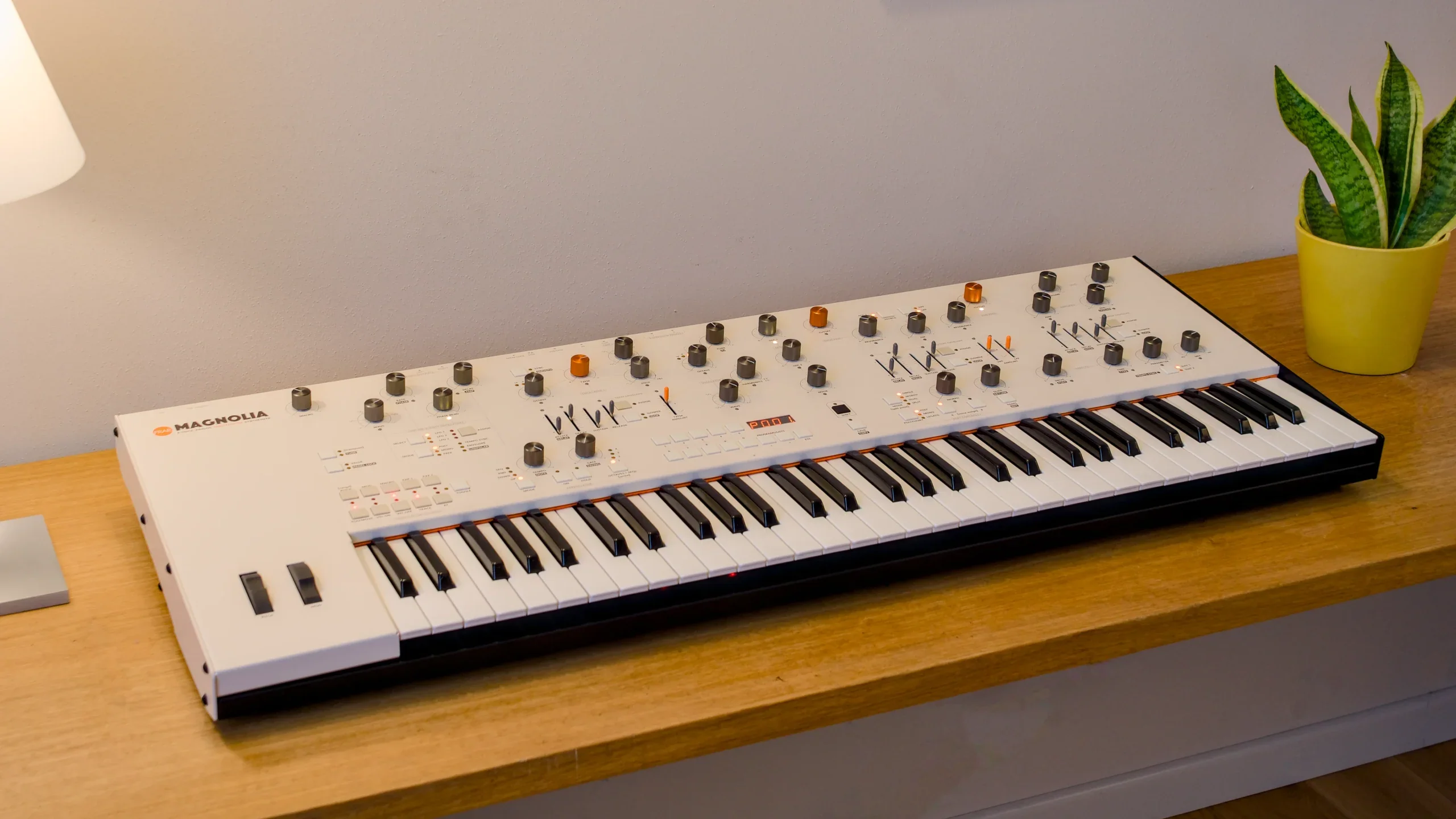 Frap Tools Magnolia Eight-Voice Analog Poly Synth - Image 3