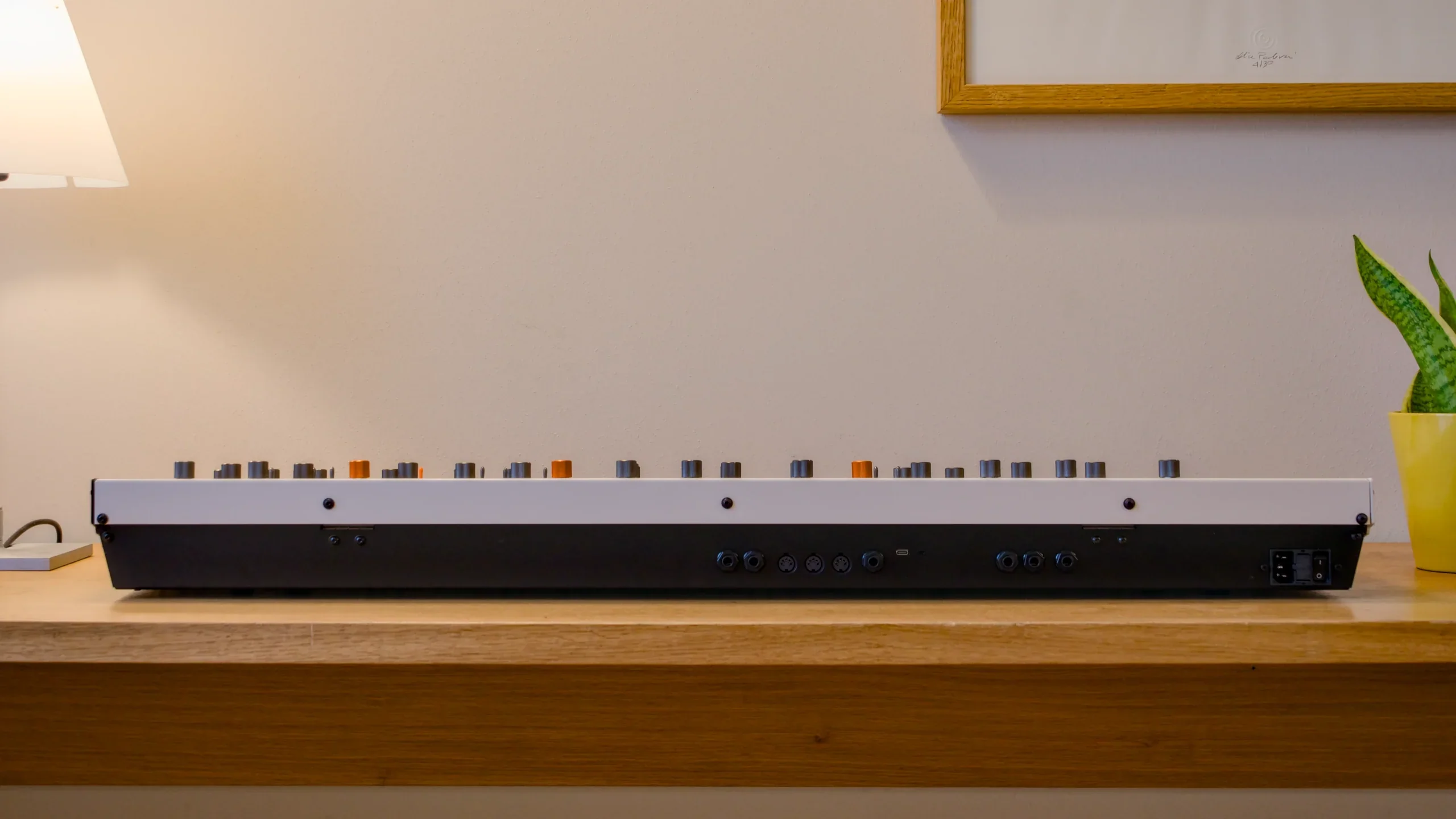 Frap Tools Magnolia Eight-Voice Analog Poly Synth - Image 4
