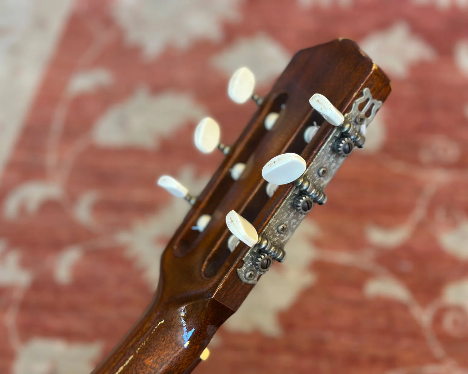 1972 Maton F-10 Classical Guitar - Image 10