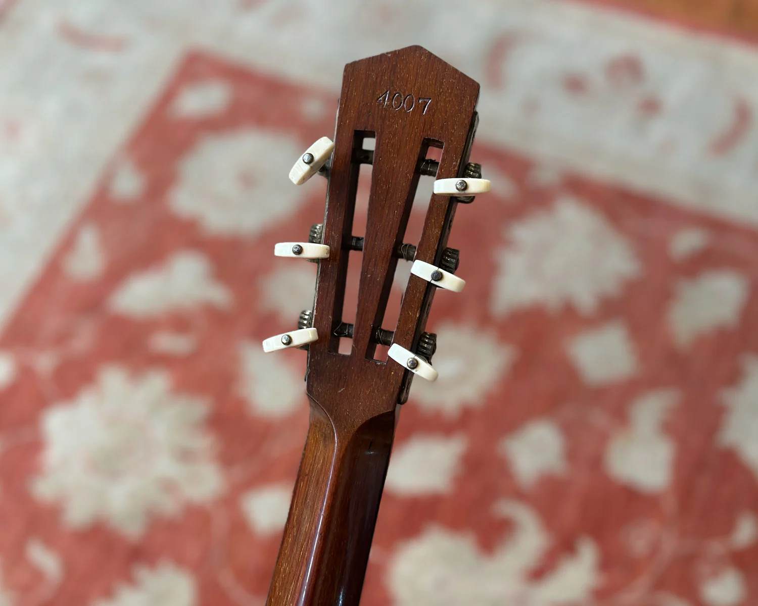 Cammeyer Zither MSS 75173 5 String Banjo - Image 11