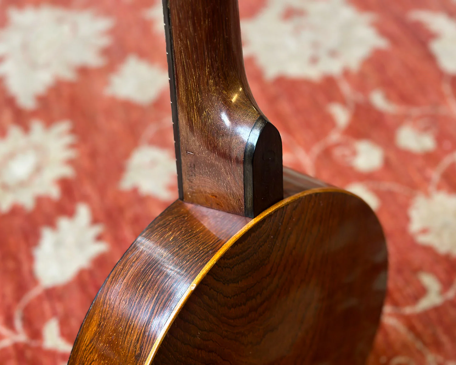 Cammeyer Zither MSS 75173 5 String Banjo - Image 13