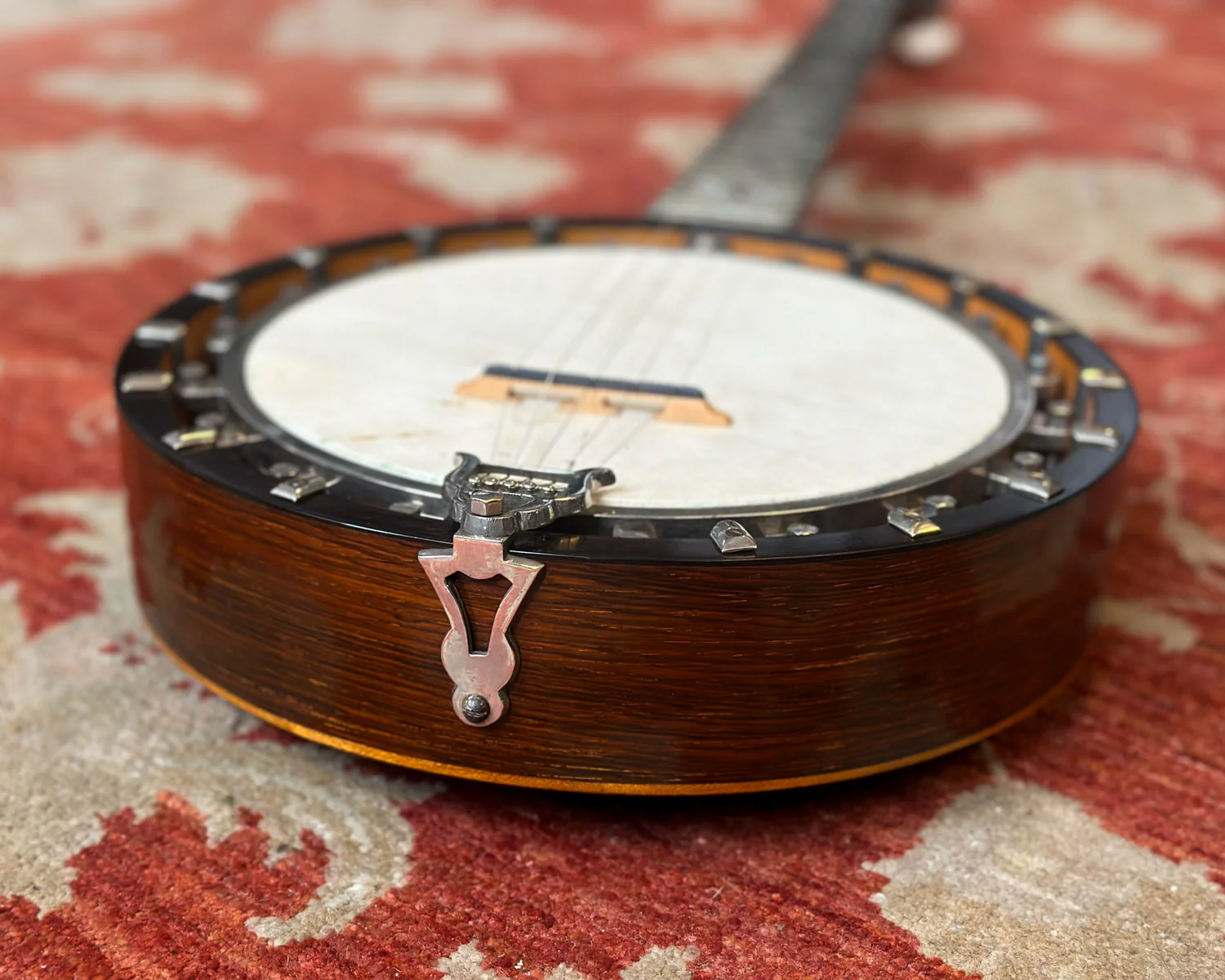 Cammeyer Zither MSS 75173 5 String Banjo - Image 4