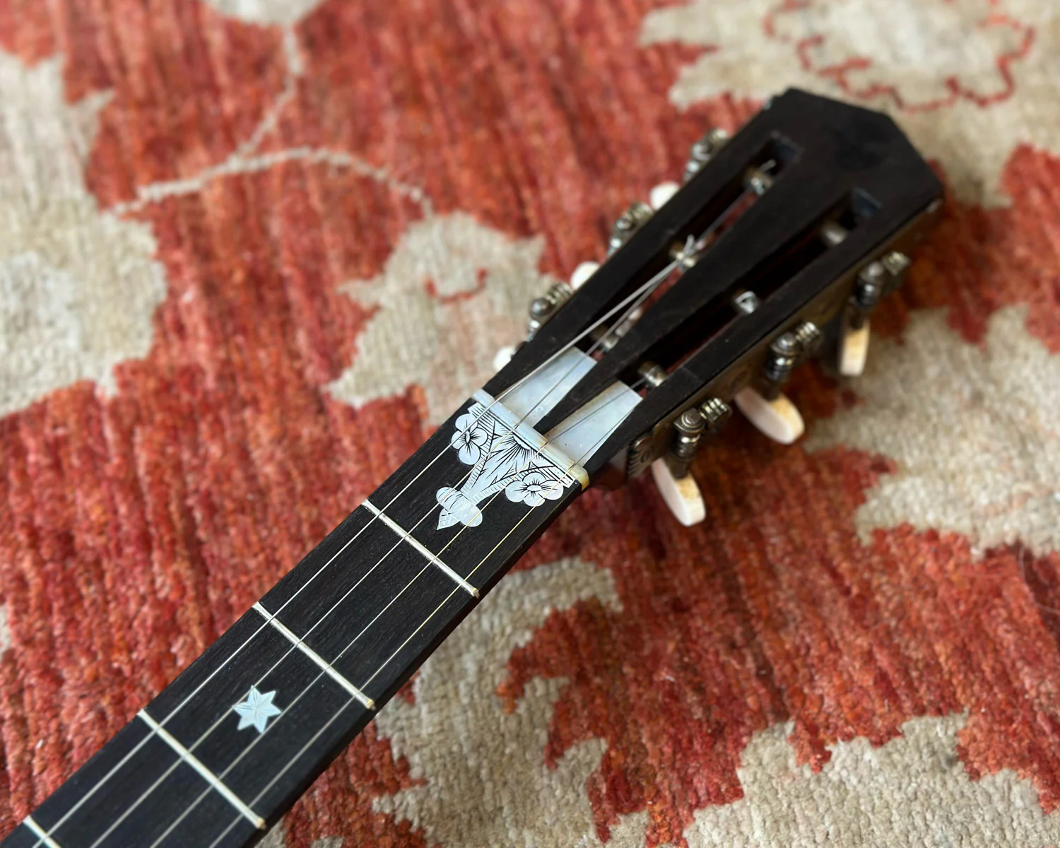 Cammeyer Zither MSS 75173 5 String Banjo - Image 7