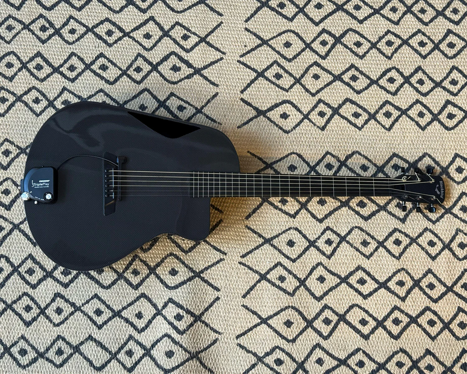 One of One Blackbird Super OM Custom Fretless Carbon Fibre Orchestral Model Acoustic Guitar w/Fishman TriplePlay MIDI Pickup - Image 2