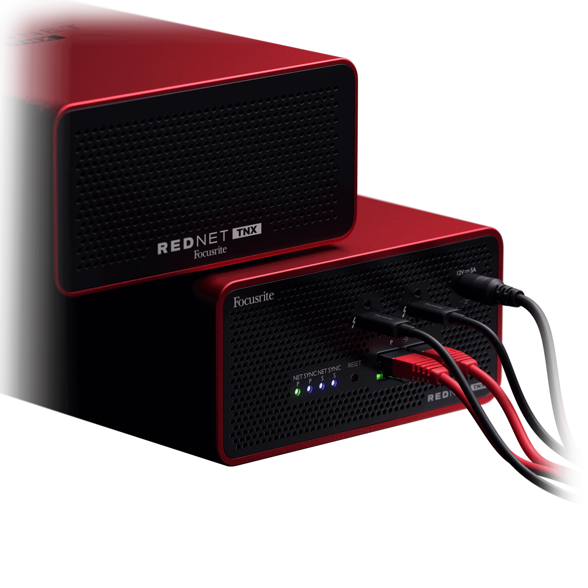 Focusrite RedNet TNX - Image 4
