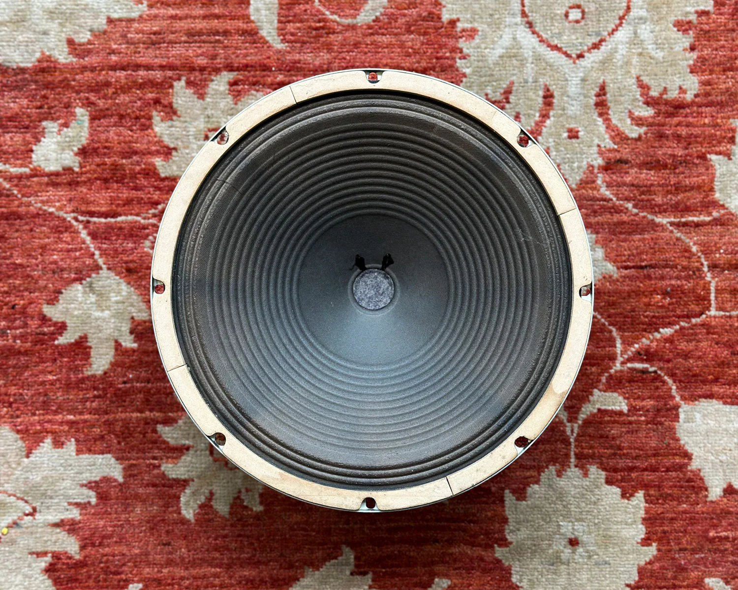 Oxford 12" Speaker - Image 2