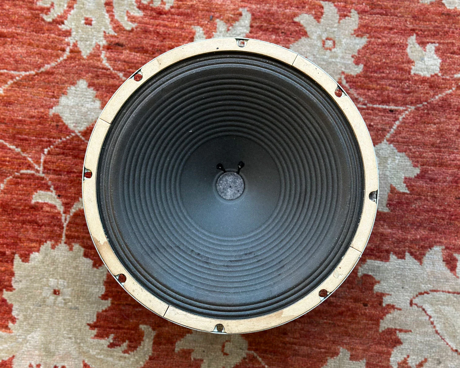 Oxford 12" Speaker - Image 2