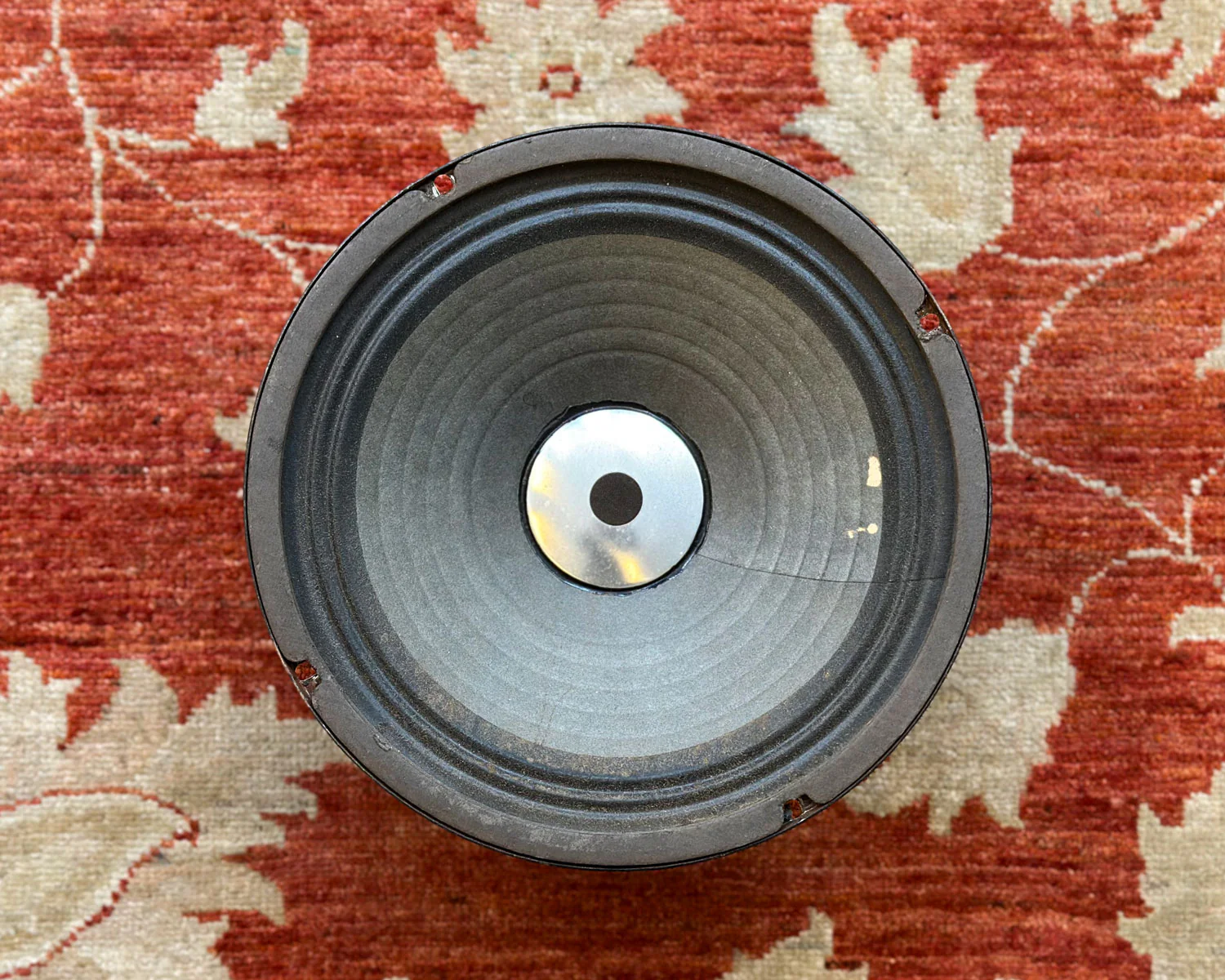 Eminence 10" Alnico Speaker - Image 2