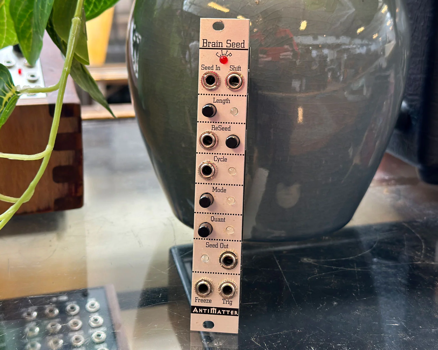 Antimatter Audio Brain Seed Step Recorder