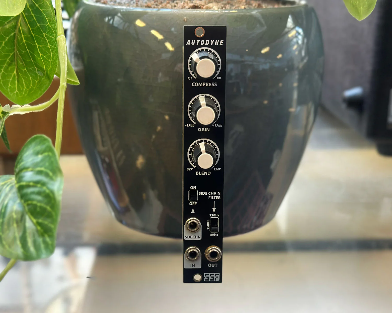 Steady State Fate Autodyne - Black