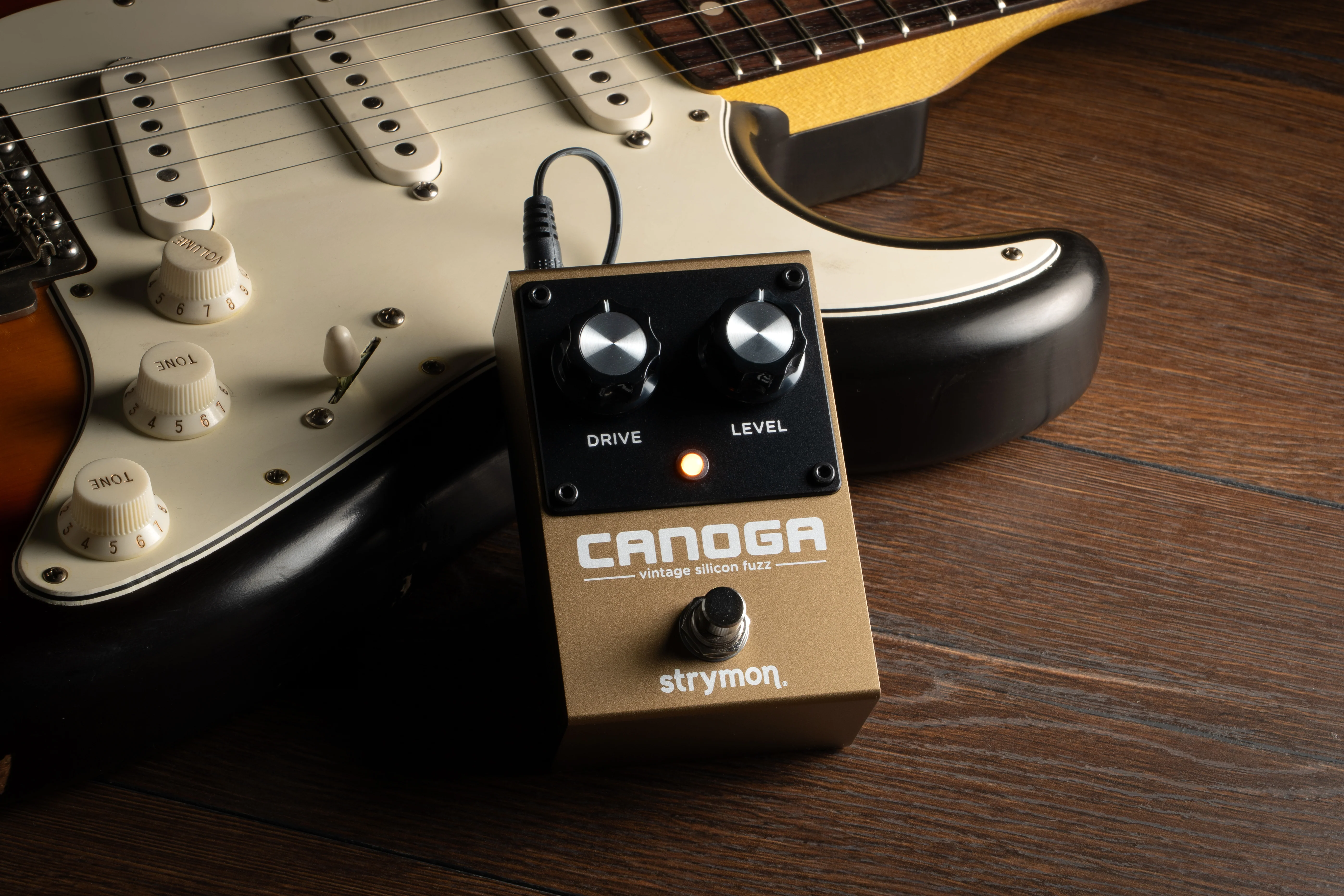 Strymon Canonga Vintage Silicon Fuzz Pedal - Image 5