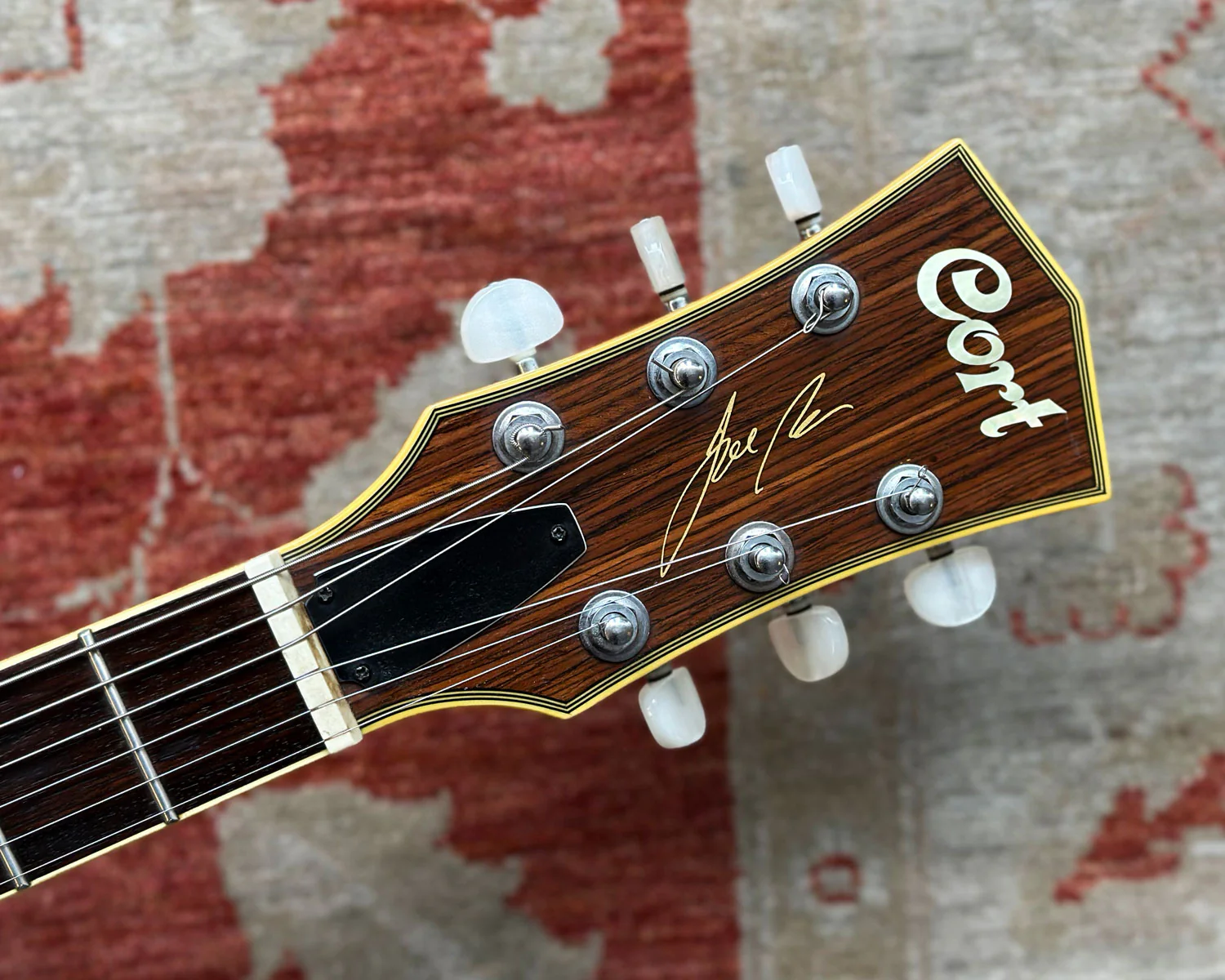 Cort Joe Beck Signature Standard Model - Image 5
