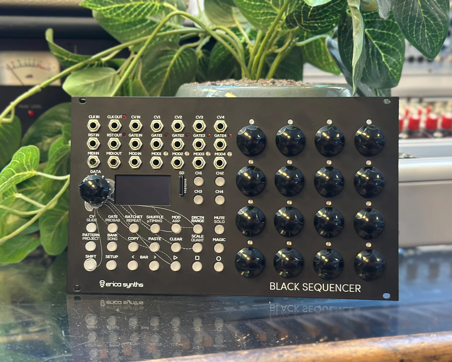 Erica Synths Black Sequencer  Eurorack Module