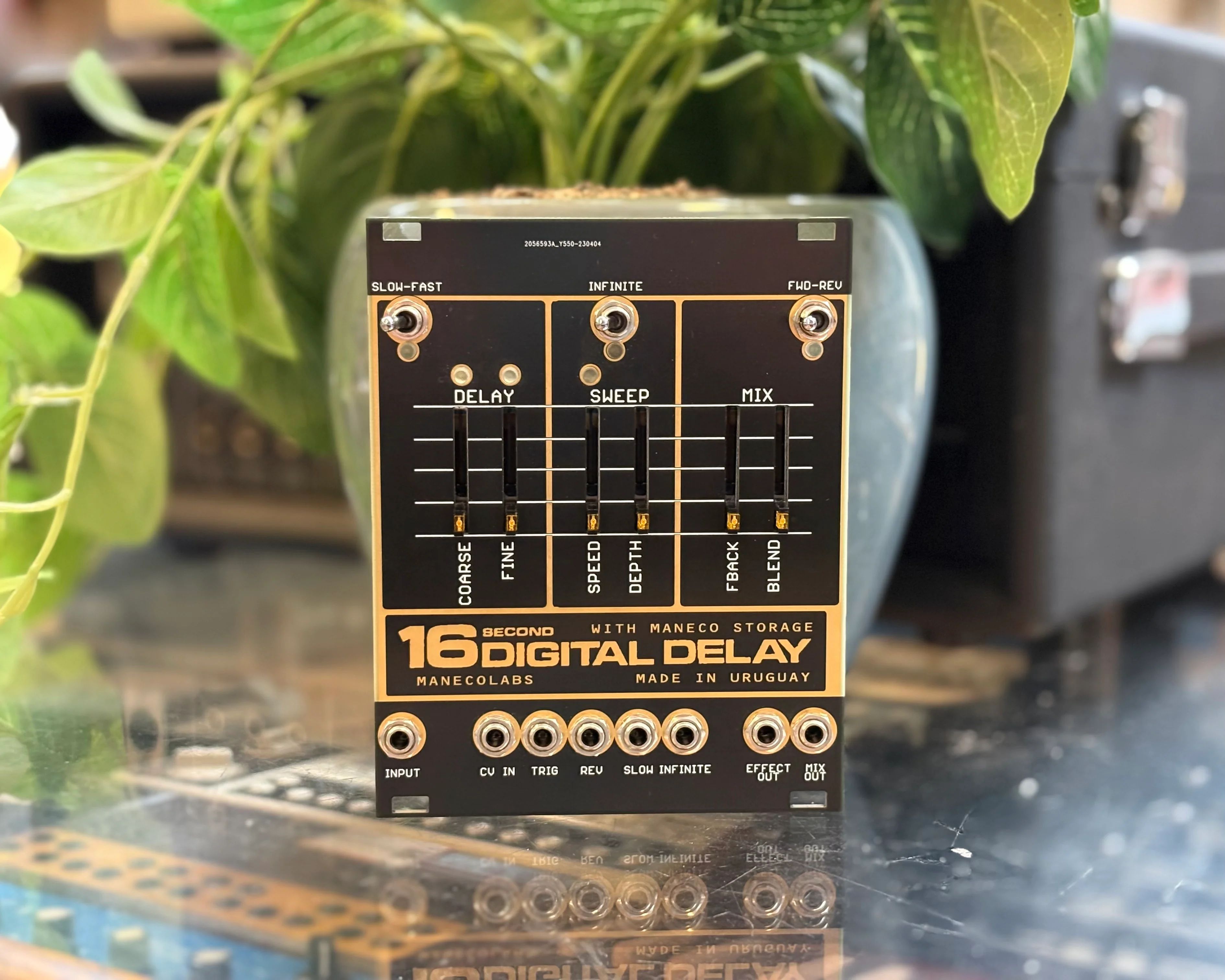 Maneco Labs 16 Second Digital Delay Eurorack Module