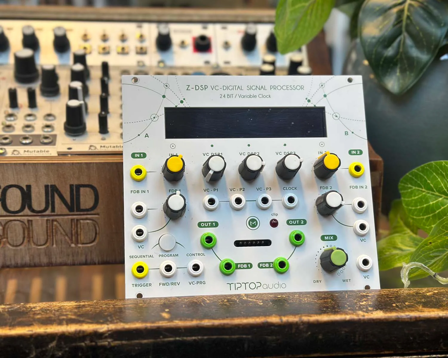 Tiptop Audio Z-DSP NS - White W/ ZDSP Card Bundle