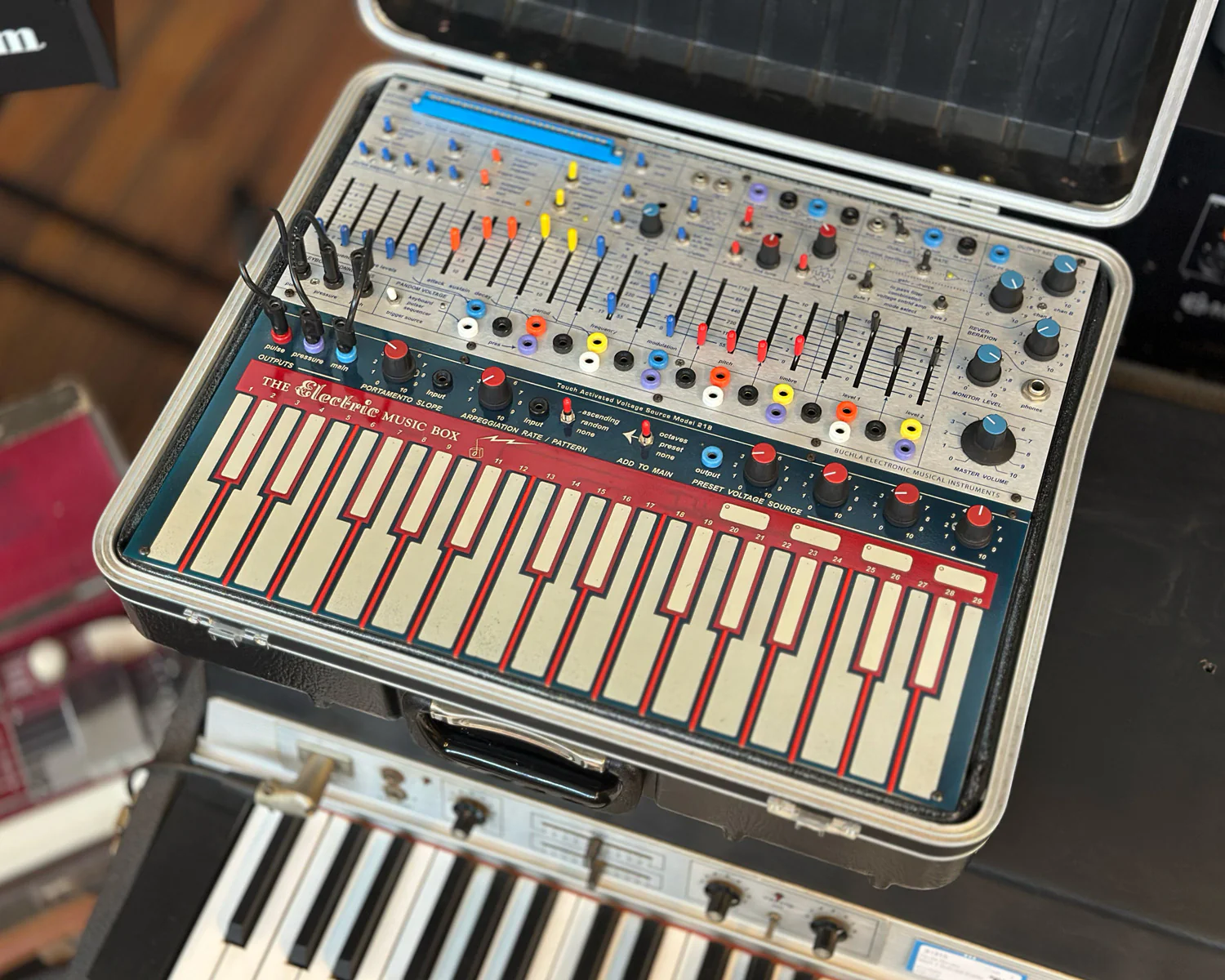 Buchla Music Easel BEMI - Image 8