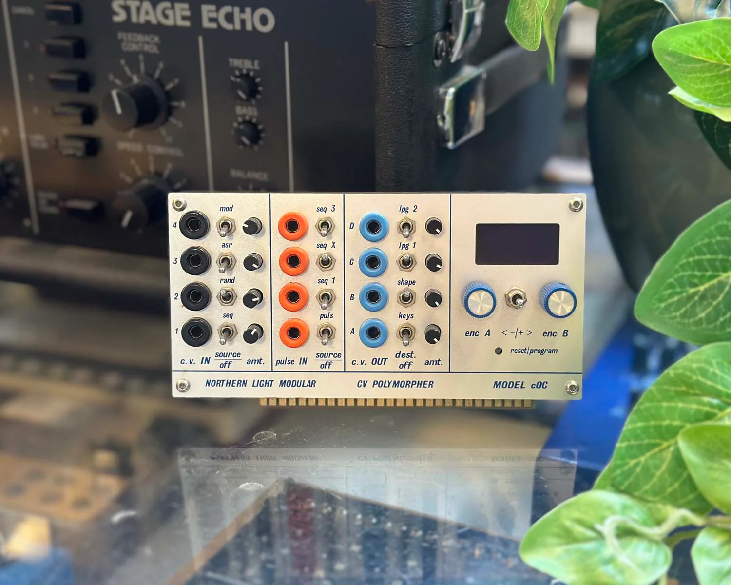 Northern Light Modular Model cardOC CV Polymorpher