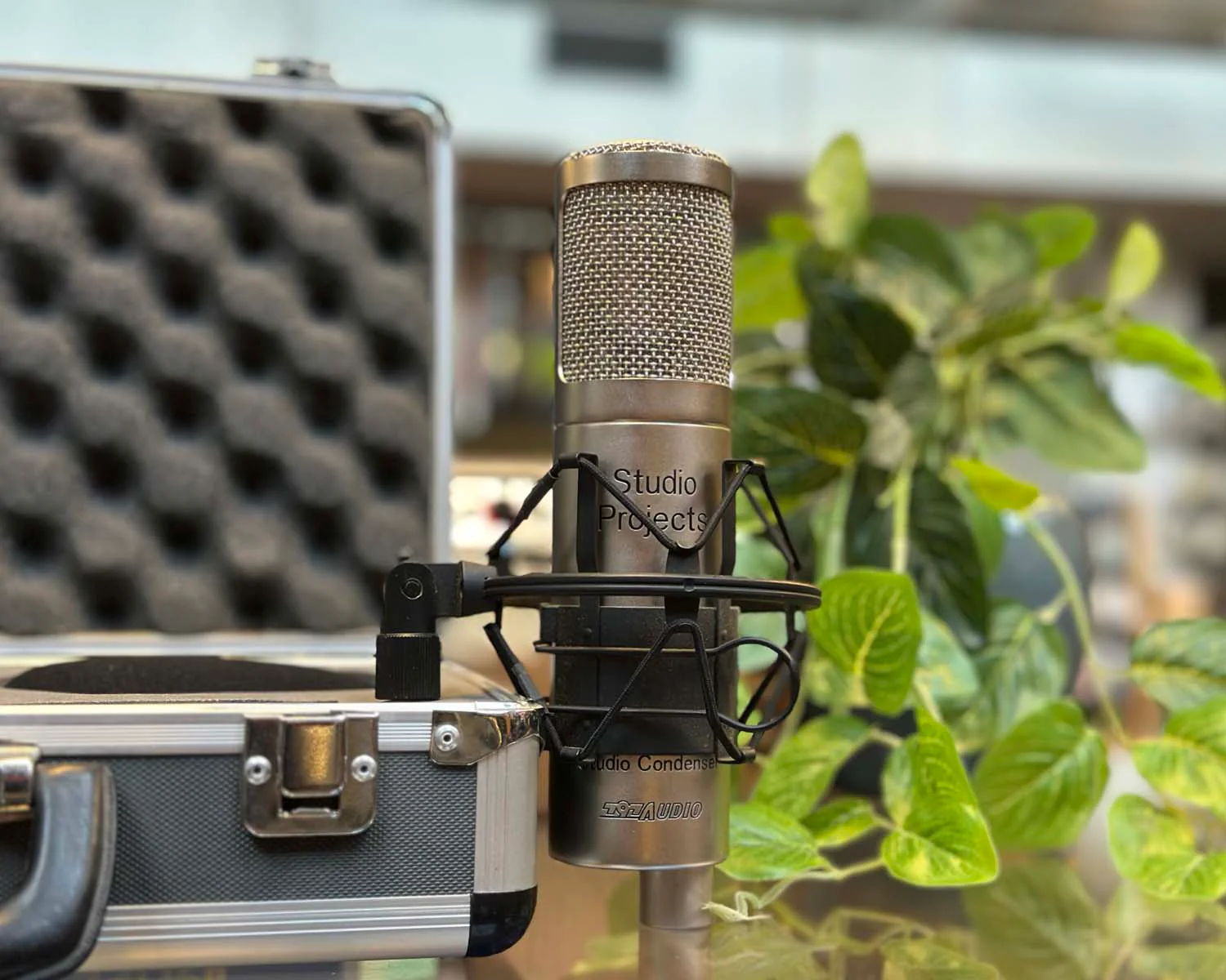 Studio Projects C1 Condenser - Image 4