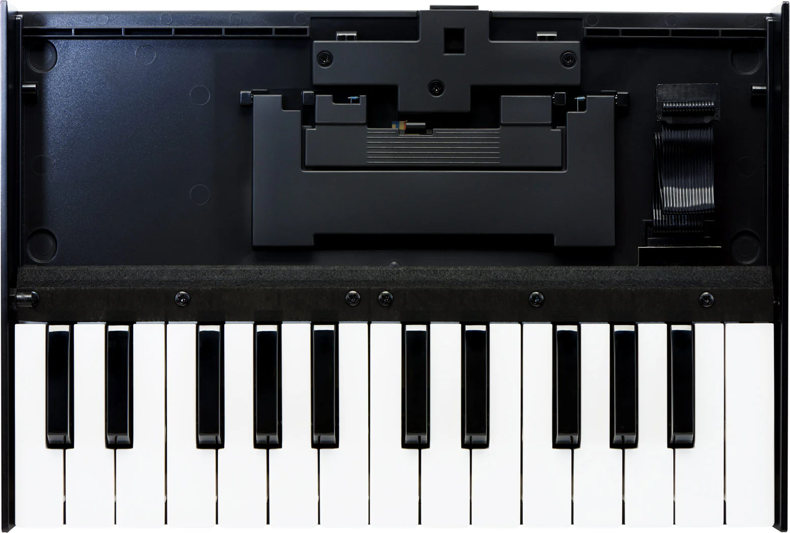 Roland K-25m Keyboard Unit - Image 2